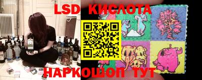 амф Кимры
