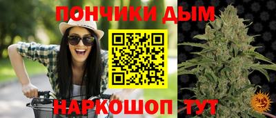 сатива Кингисепп