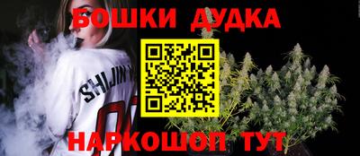 сатива Кингисепп