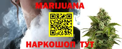 сатива Кингисепп
