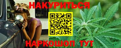 сатива Кингисепп
