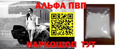 сатива Кингисепп